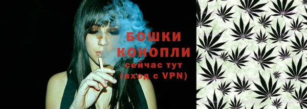 ешки Новый Уренгой