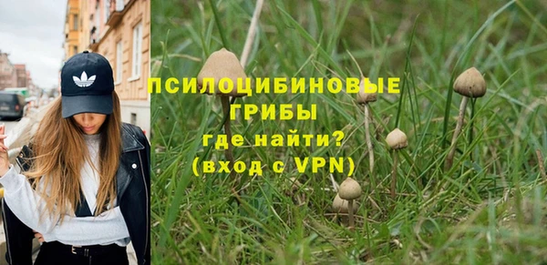трава Ладушкин