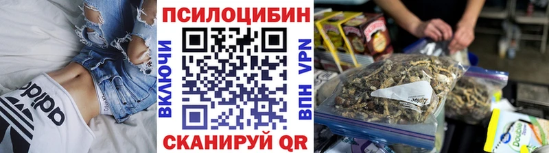 цена наркотик Новосокольники Галлюциногенные грибы Cubensis