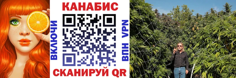 купить  сайты  Новосокольники  Каннабис White Widow 